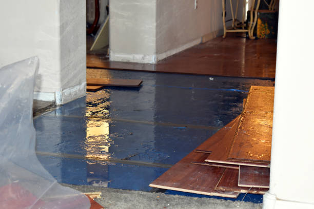 Professional Burst Pipe Cleanup technician working in Napoleon, MO